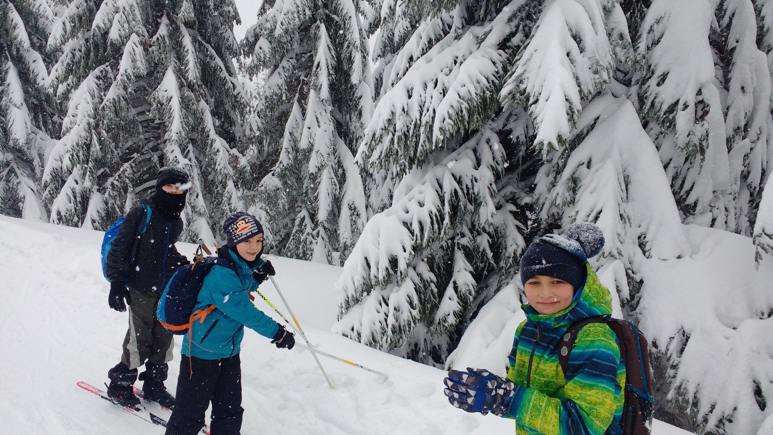 IMG_20190112_113720744