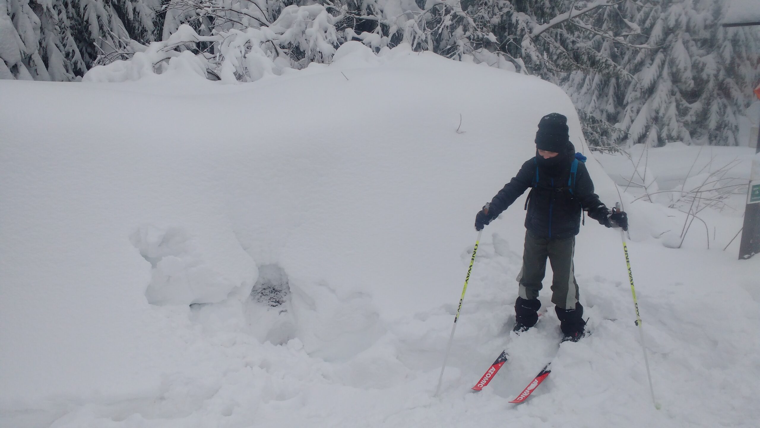 IMG_20190112_123656958