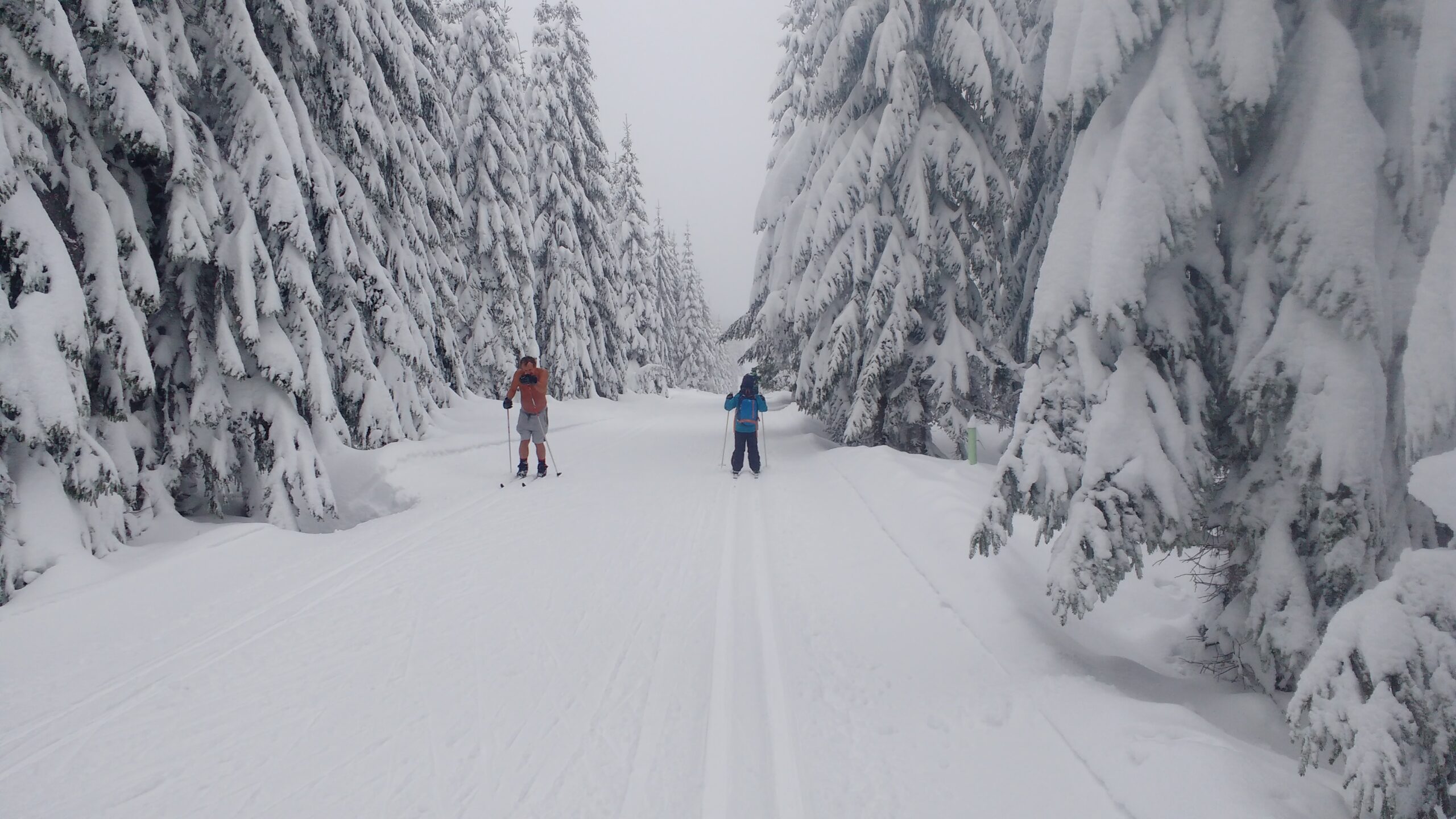 IMG_20190112_124416813