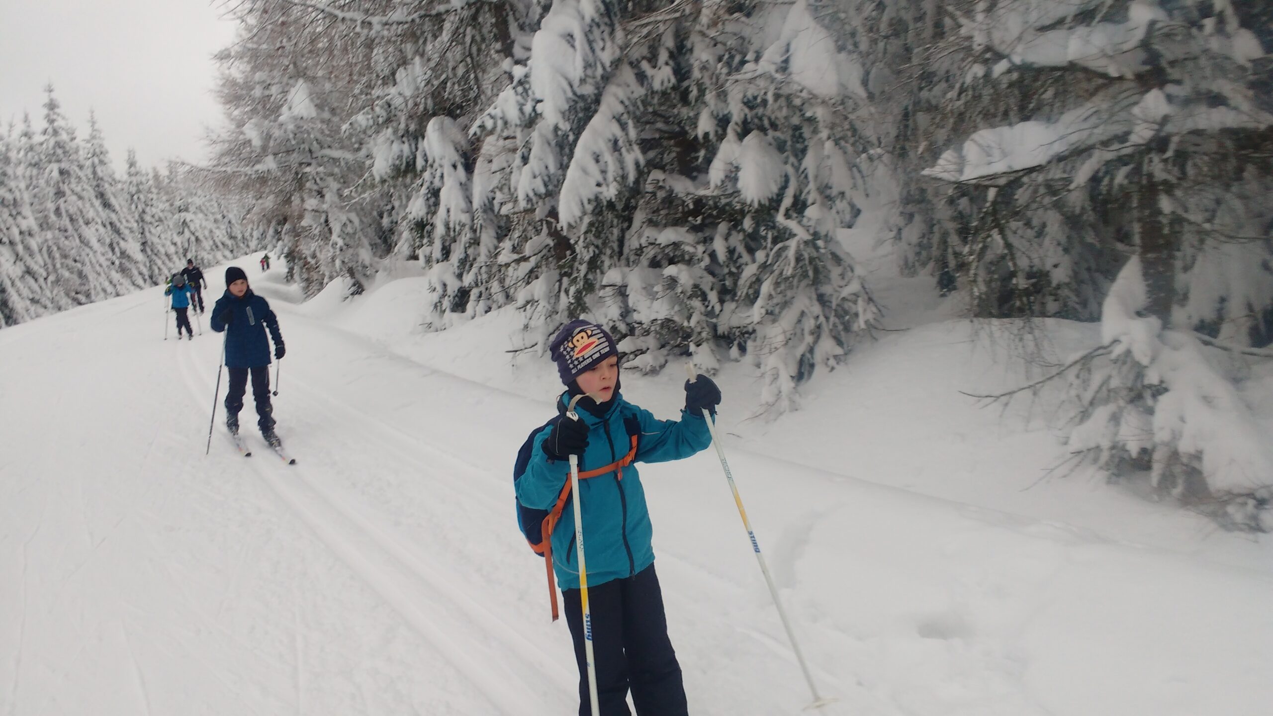 IMG_20190112_144939154