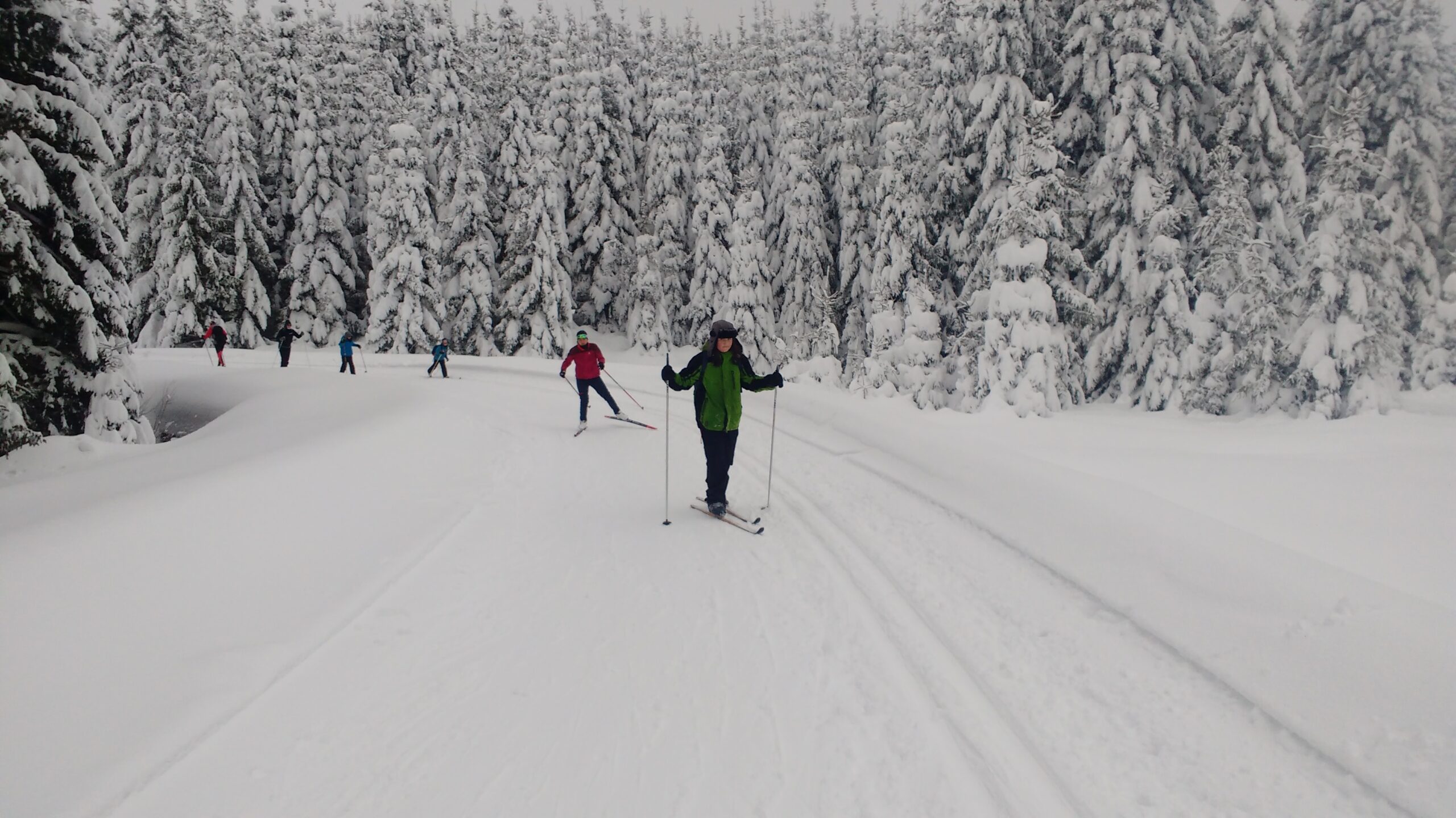 IMG_20190112_145451681