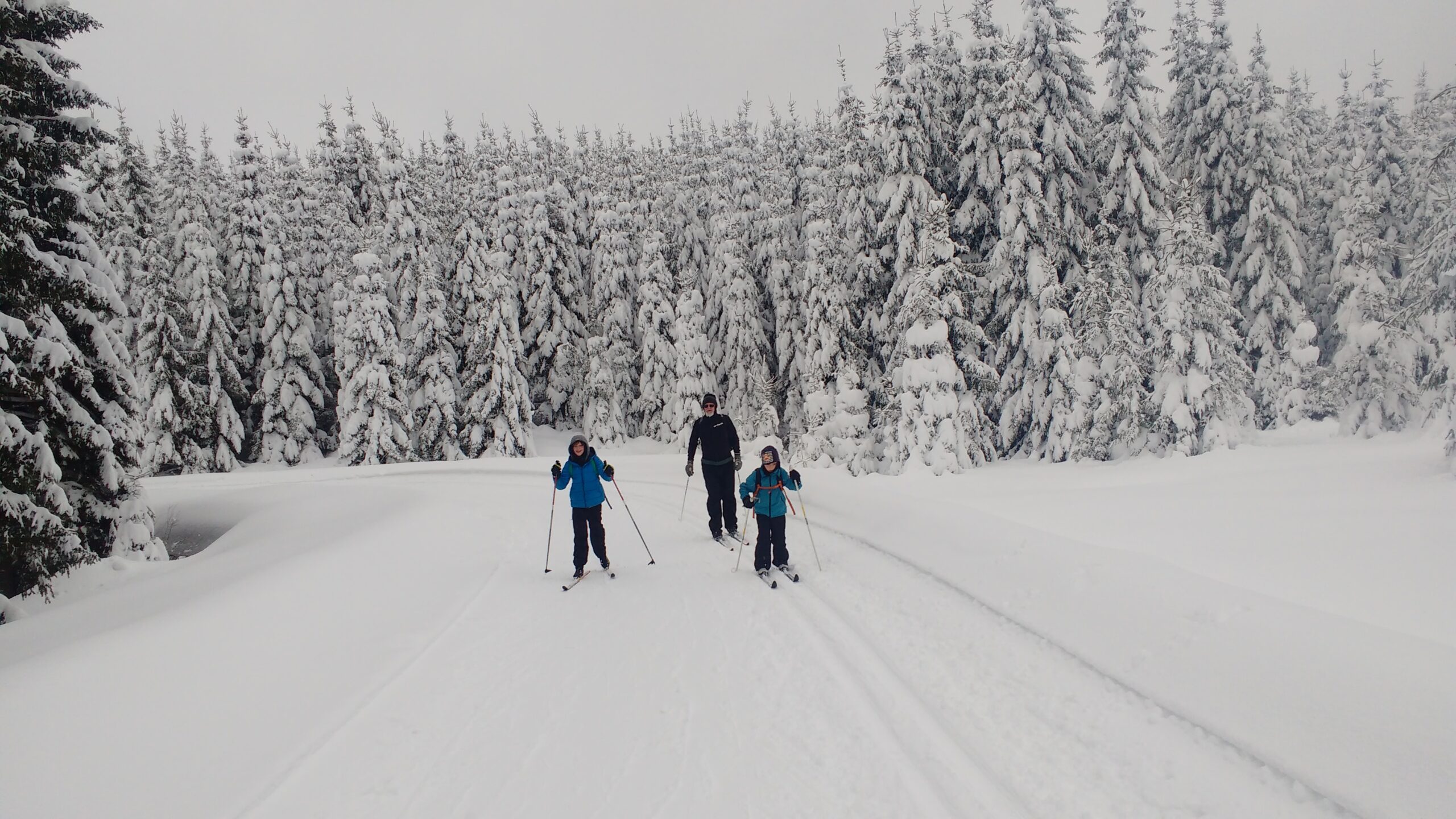 IMG_20190112_145509549