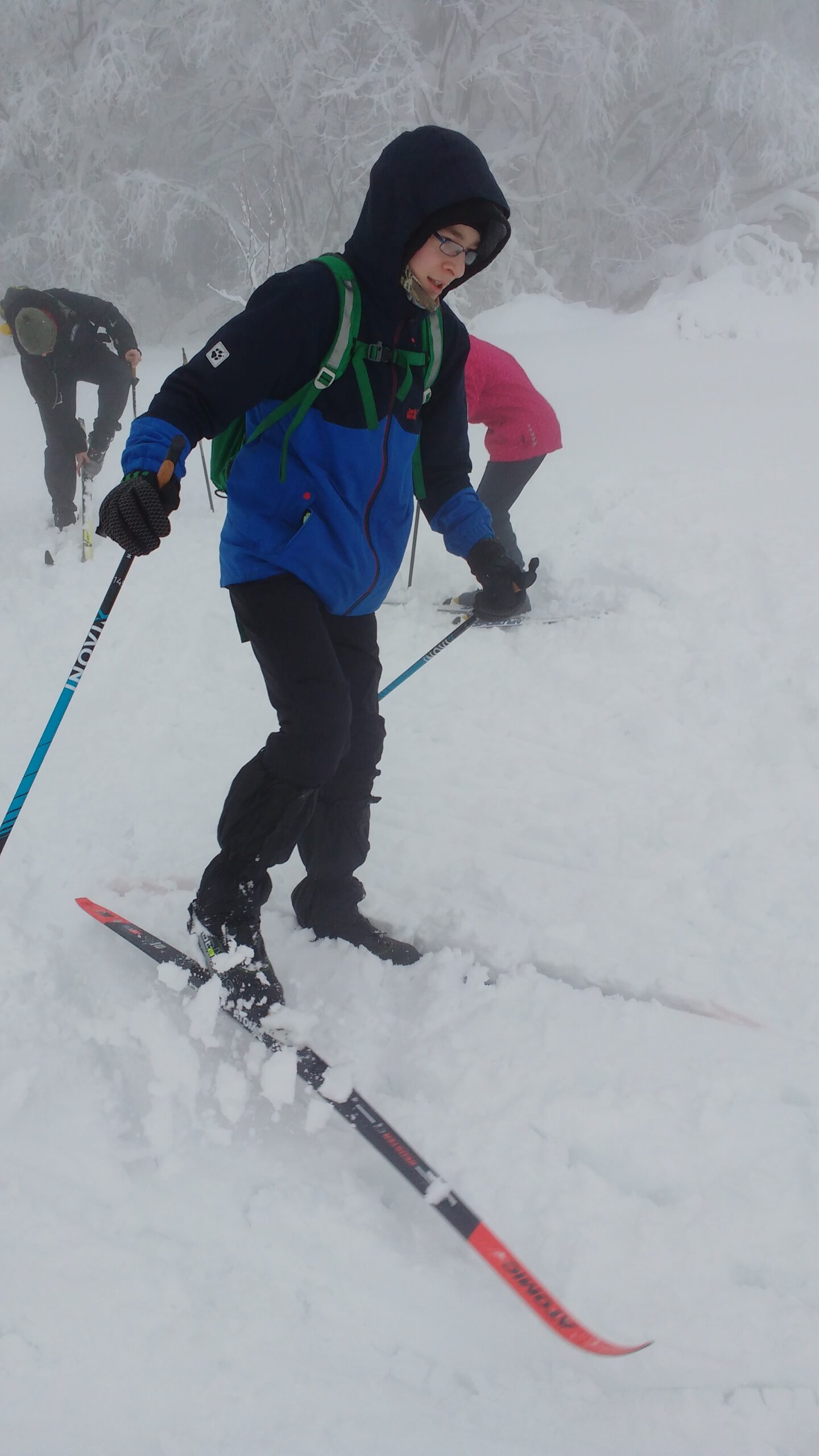 IMG_20190113_105248586