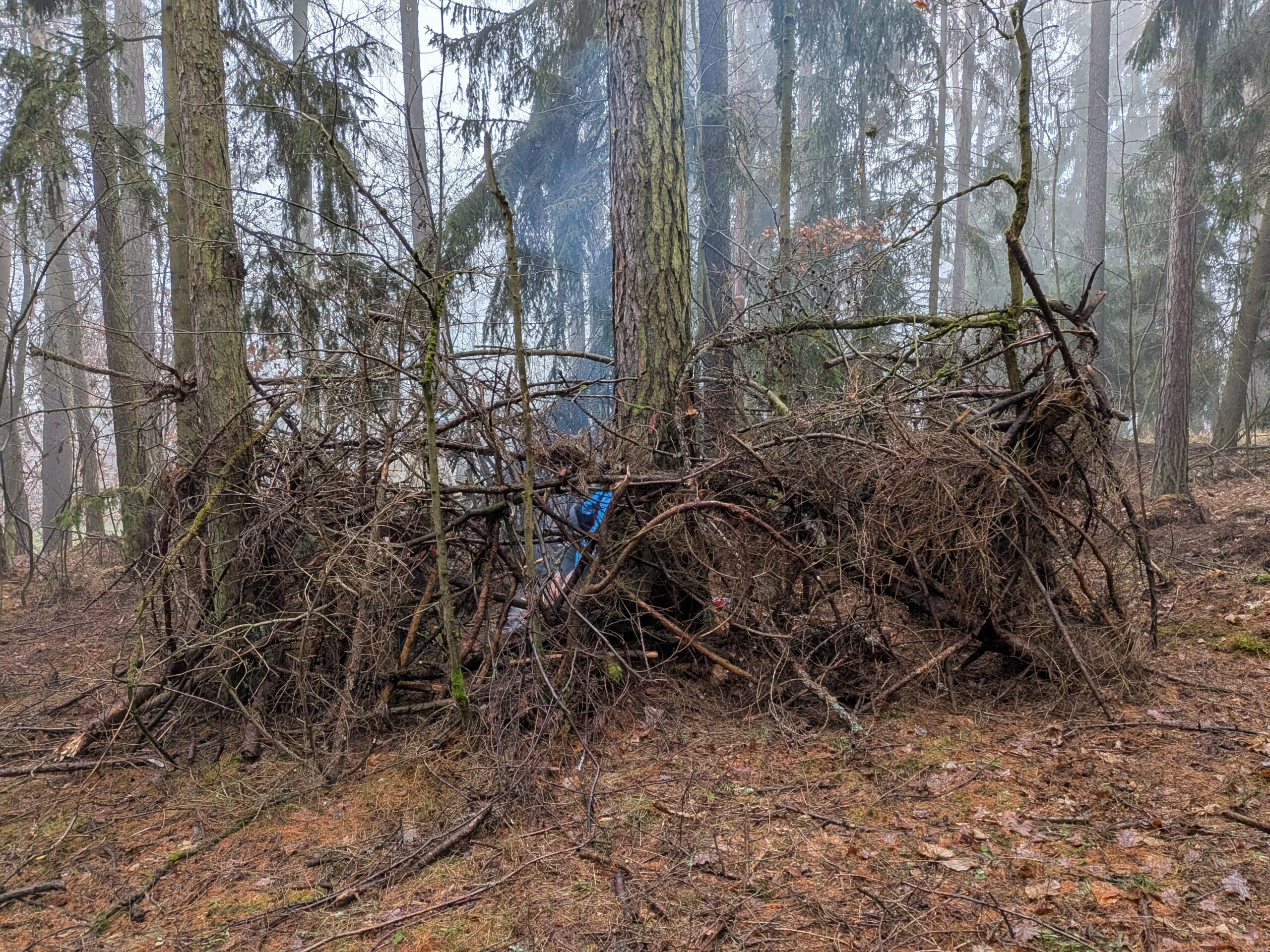 PXL_20251213_141222691