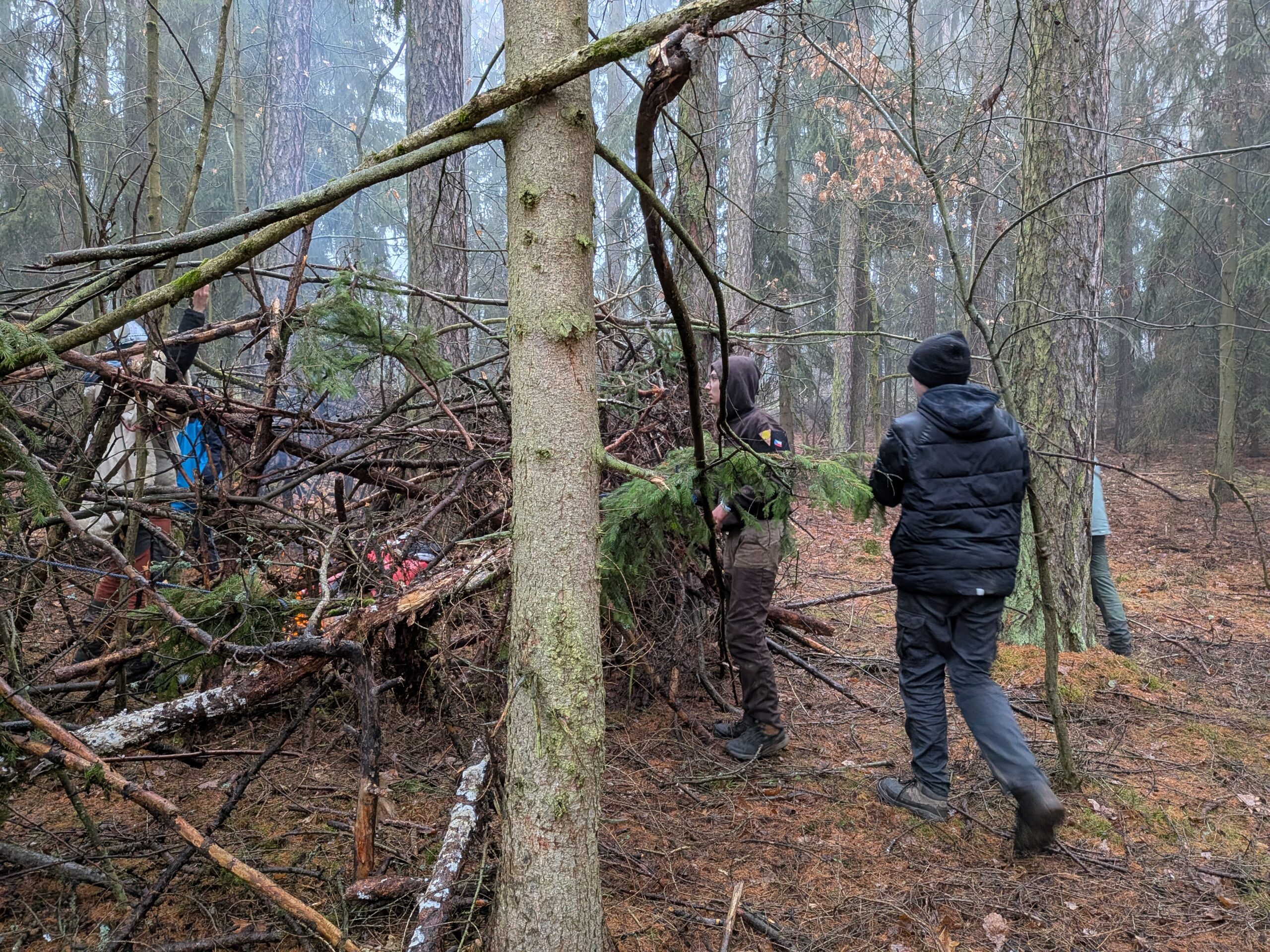 PXL_20251213_141628653