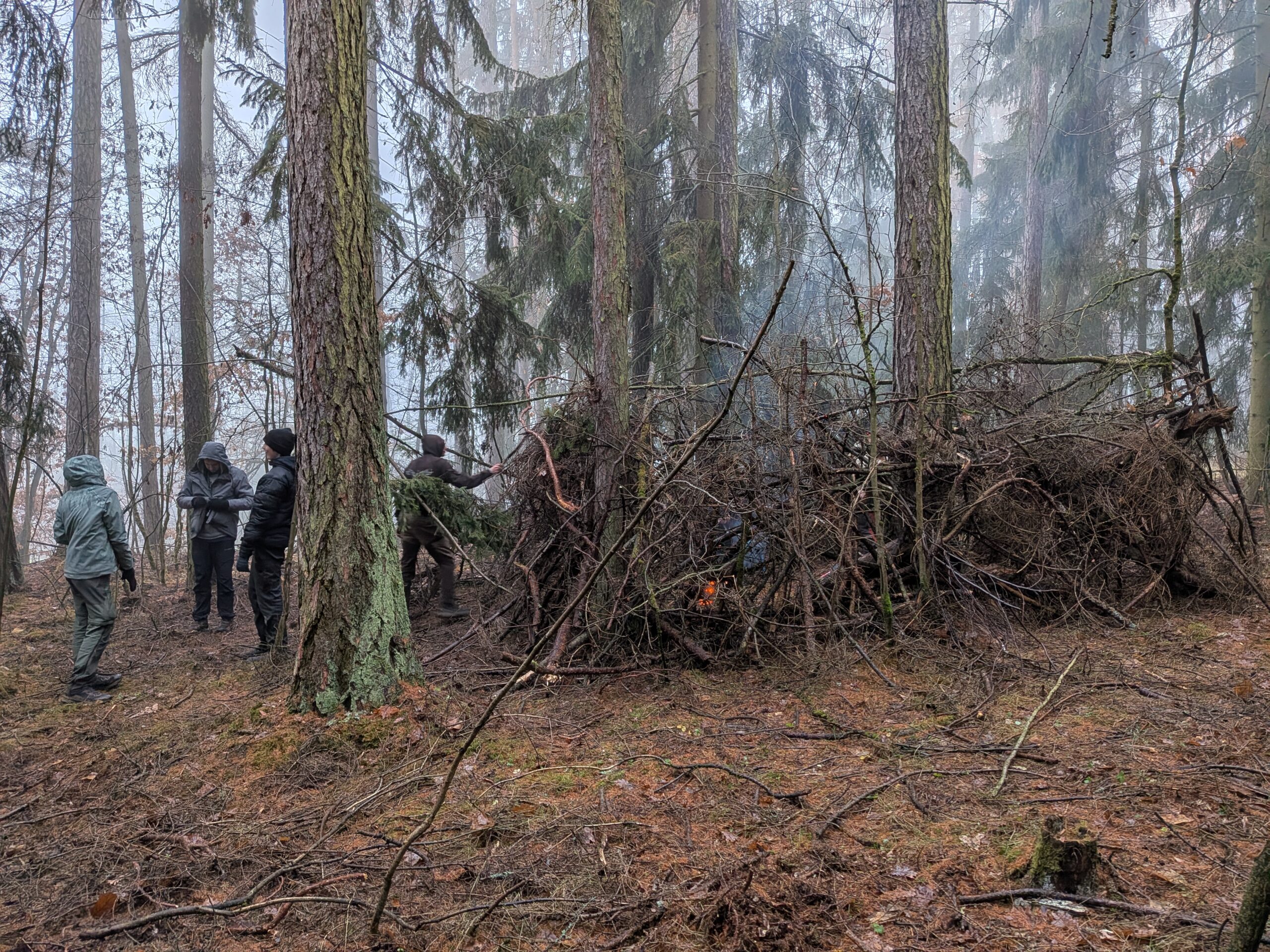 PXL_20251213_141843029