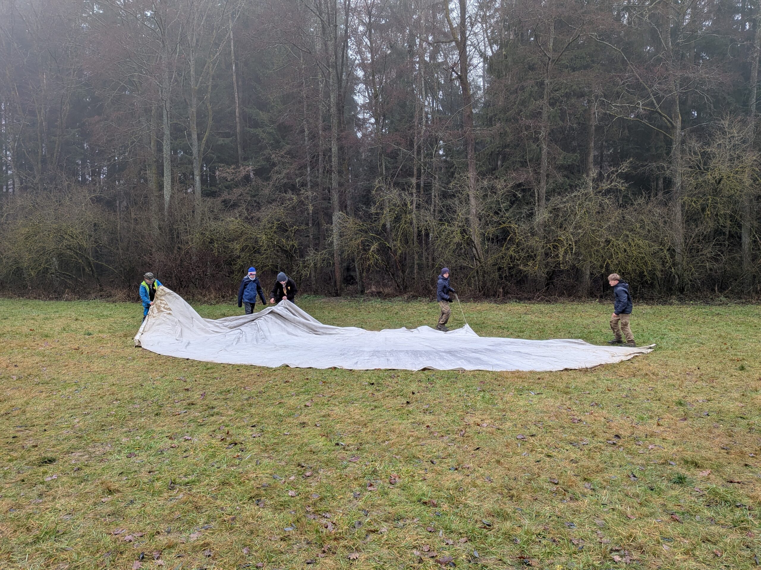 PXL_20251214_093502905