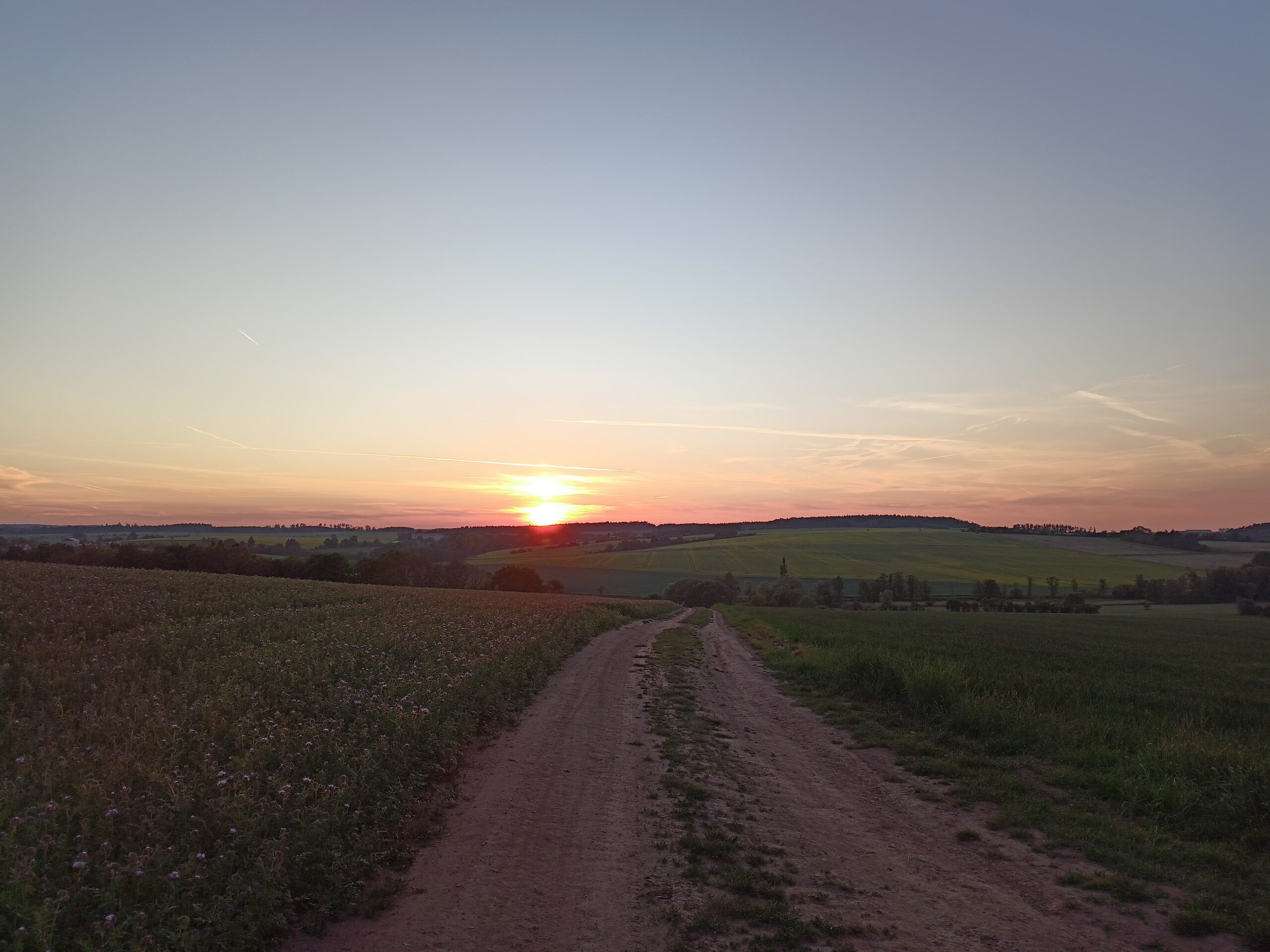 IMG-20260523-WA0058