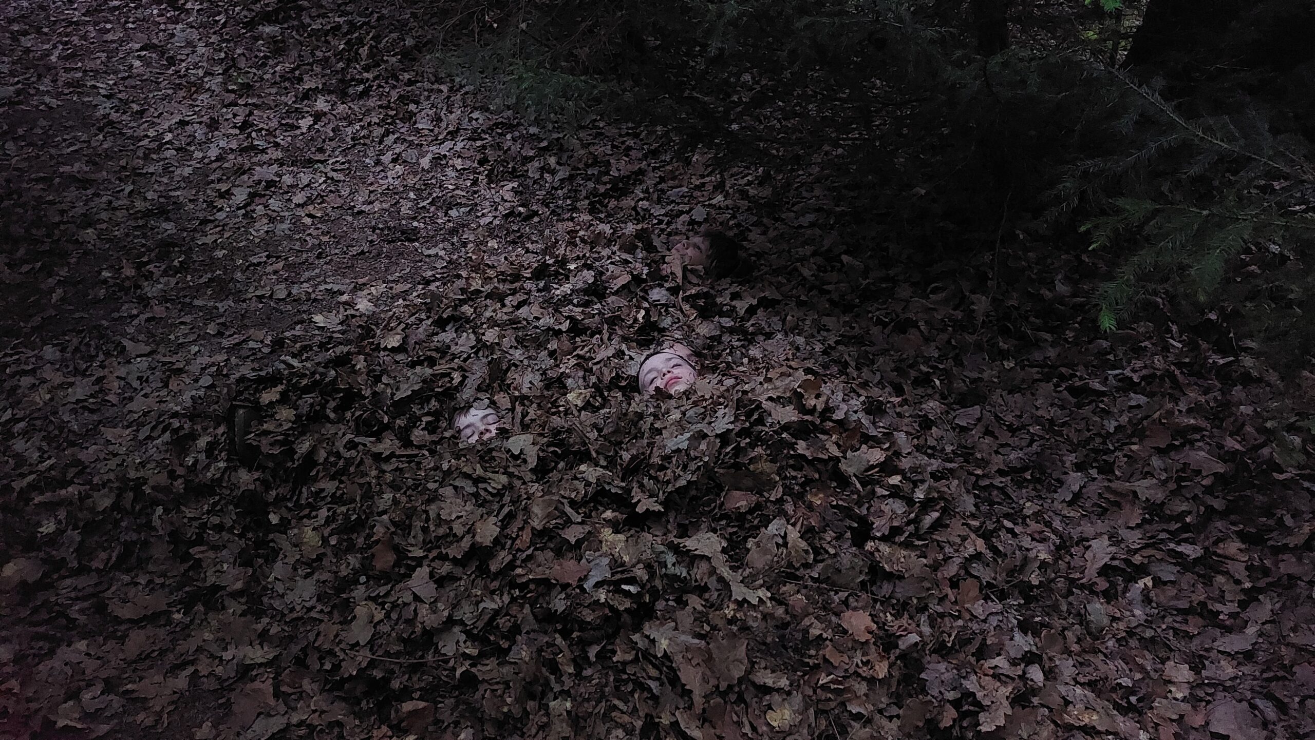 IMG-20260524-WA0052
