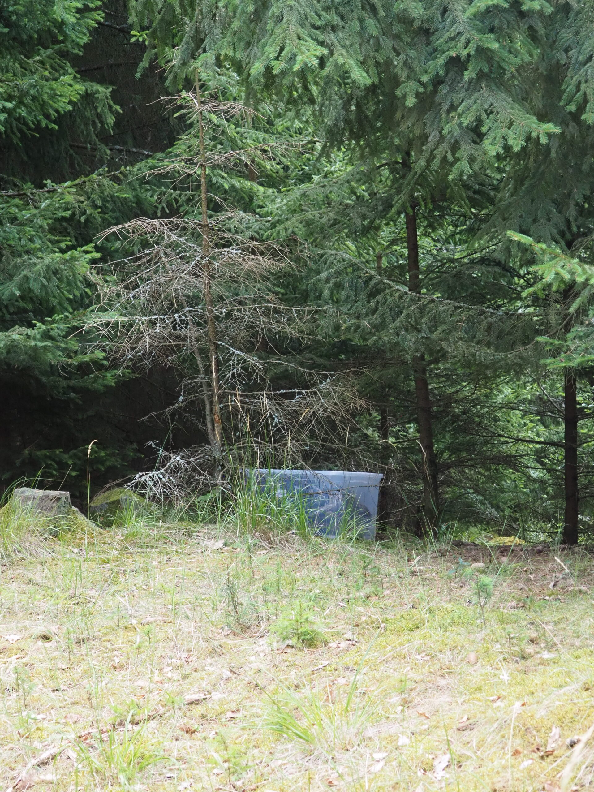 P7215311