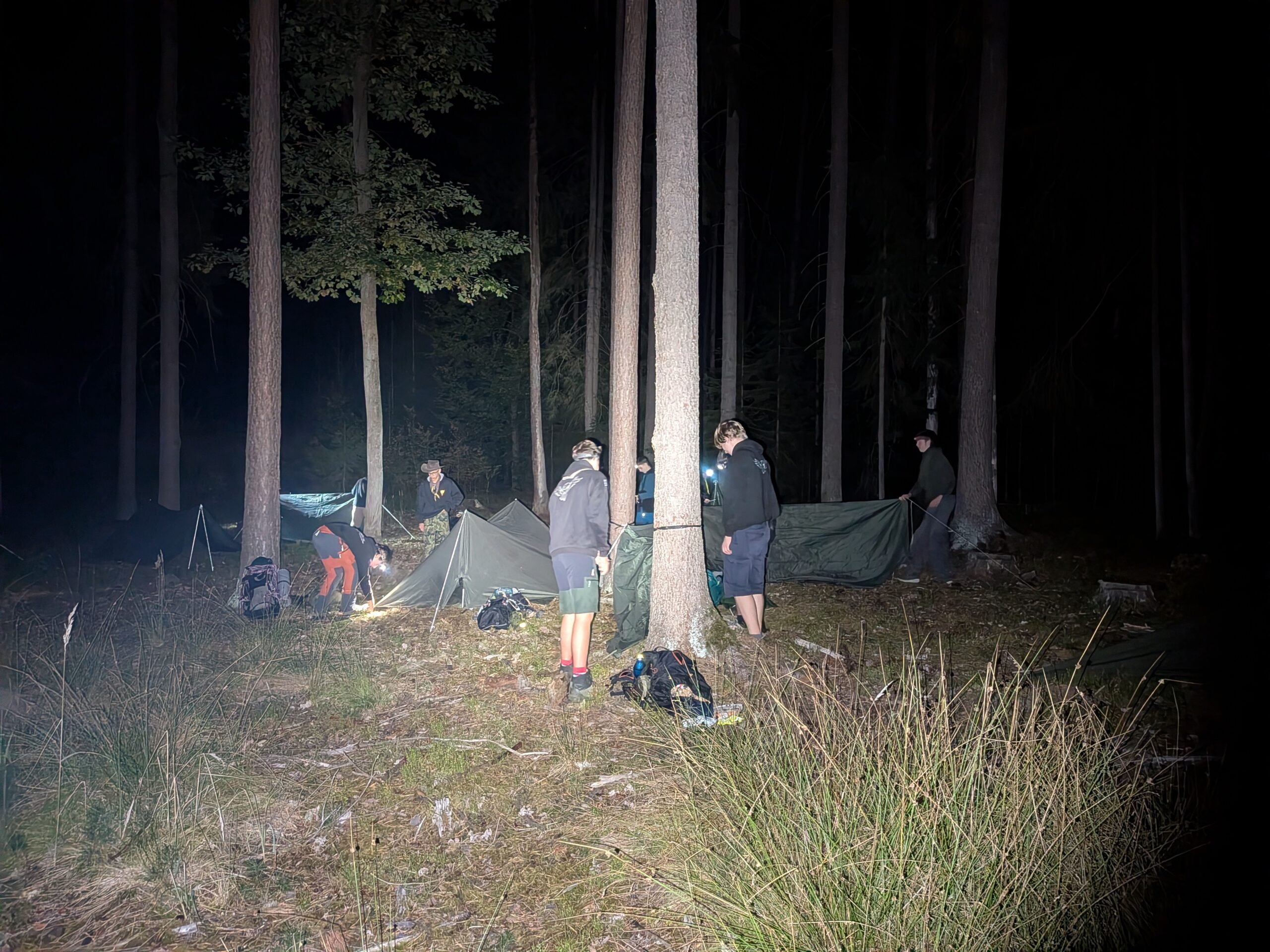 PXL_20261016_194908186