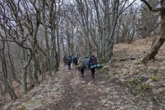 PXL_20240225_070312428