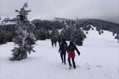 IMG-20250301-WA0051