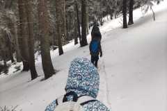 IMG-20250301-WA0053