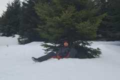 IMG-20250301-WA0082