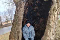 IMG-20250302-WA0003