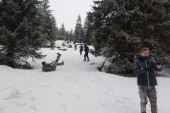 IMG-20250302-WA0060