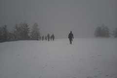 IMG-20250302-WA0067