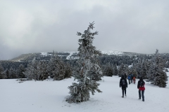 IMG-20250302-WA0077