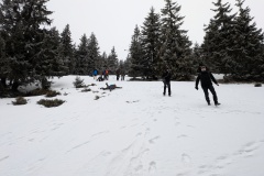 PXL_20250301_141130606