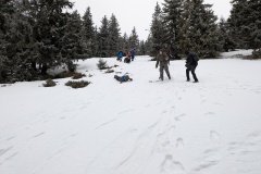 PXL_20250301_141134111