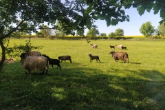 280578004_7733780033328669_2829048266213804565_n