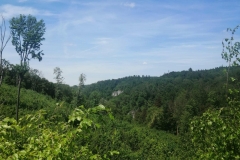 281319795_7733720860001253_2204714615318603584_n