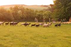 IMG-20230602-WA0015