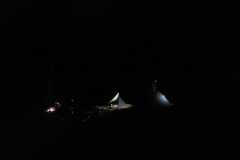 IMG-20230602-WA0059