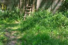 IMG-20230603-WA0078