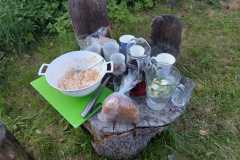 IMG-20230603-WA0081