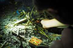IMG-20230603-WA0105