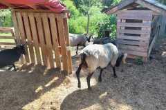 IMG-20230604-WA0068