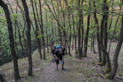 PXL_20240510_181833618