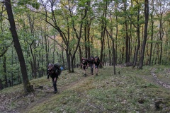 PXL_20240510_181944969