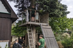 PXL_20240511_072252633