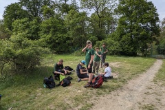 PXL_20240511_083129195