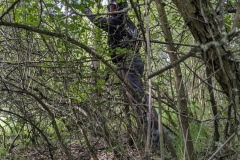 PXL_20240511_083642556