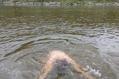 PXL_20240511_114024574