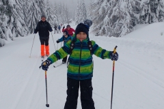 IMG_20190112_115235465