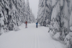 IMG_20190112_124416813