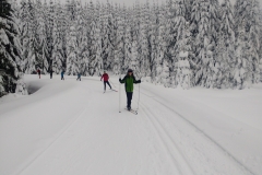 IMG_20190112_145451681