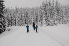 IMG_20190112_145509549