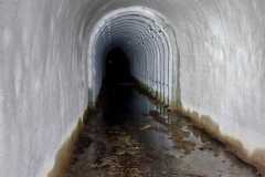 IMG-20230114-WA0020
