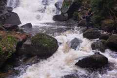 IMG-20230115-WA0002