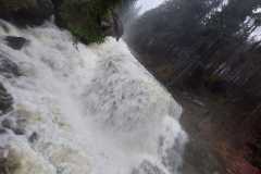 IMG-20230115-WA0003