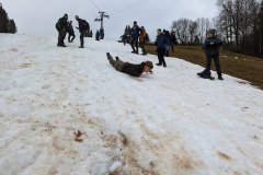 PXL_20230114_090542202_exported_900_1673792966095