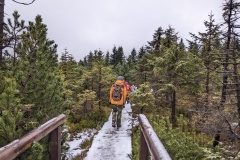 PXL_20230114_121442794