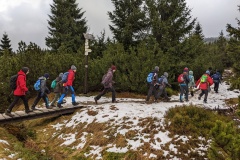 PXL_20230114_122638474