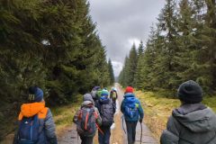 PXL_20230114_125148355_exported_1433_1673792777343